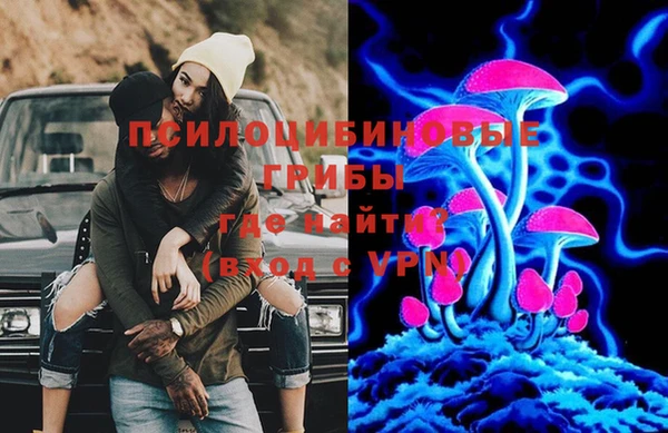дживик Армянск