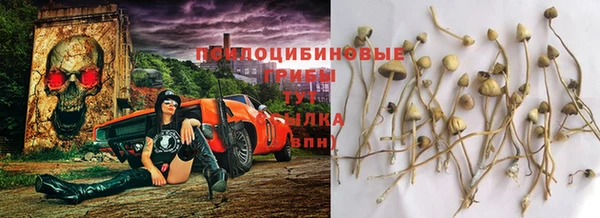 ALPHA PVP Аркадак