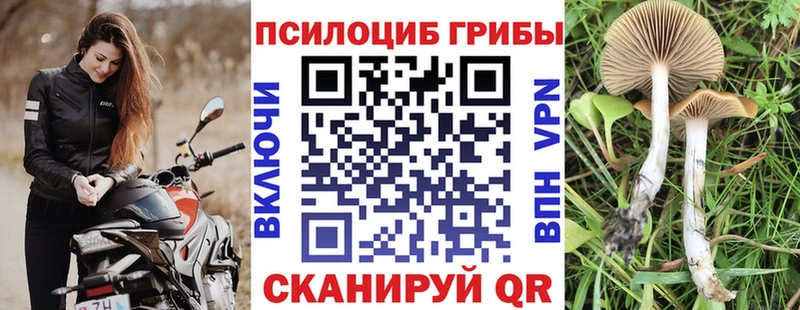 купить  цена  Лодейное Поле  Псилоцибиновые грибы Magic Shrooms 